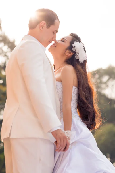 Kissing bridal couple — Stock Photo, Image