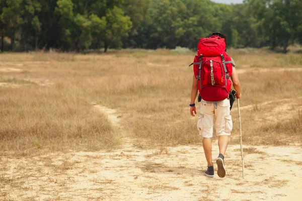 Tourist with a backpack in the field — Stock Photo, Image