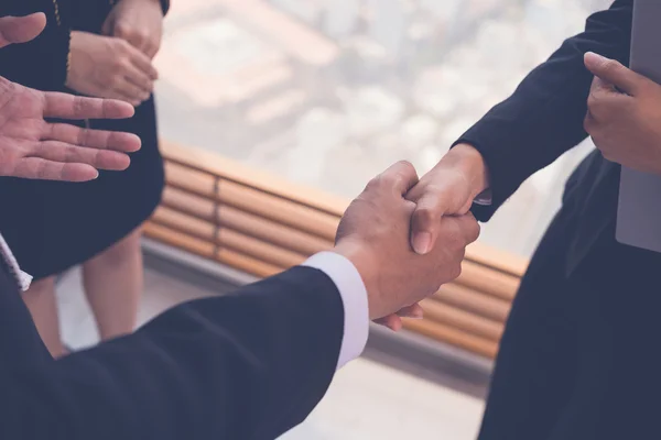 Socios de negocios Shaking Hands —  Fotos de Stock