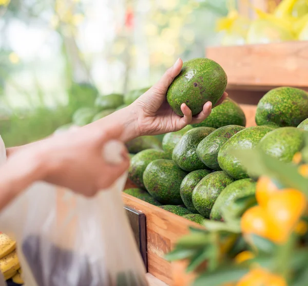 Klant avocado's kiezen — Stockfoto