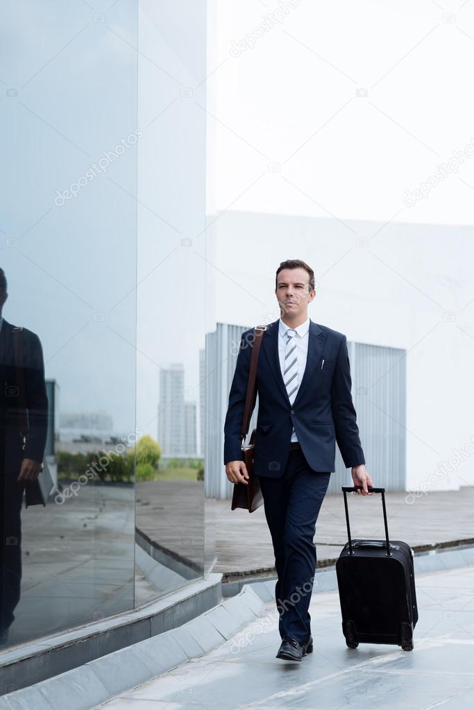 Handsome businessman with a suitcase