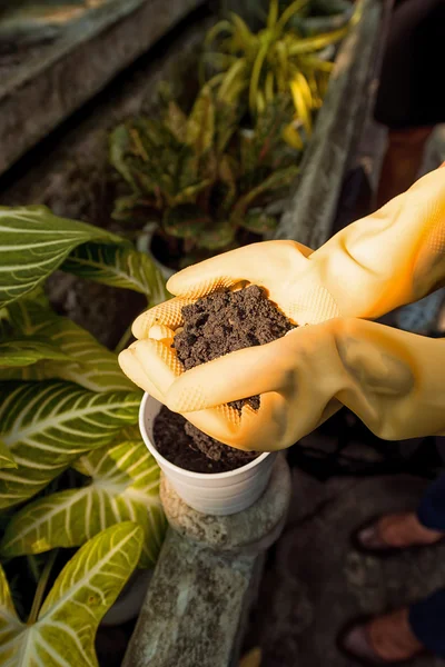 Riempimento vaso di fiori — Foto Stock