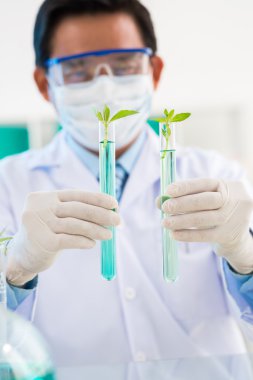 Test tüpleri inceleyerek bilim adamı
