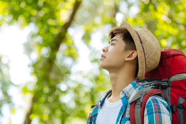 Asian hiker in summer forest — Stock Photo, Image