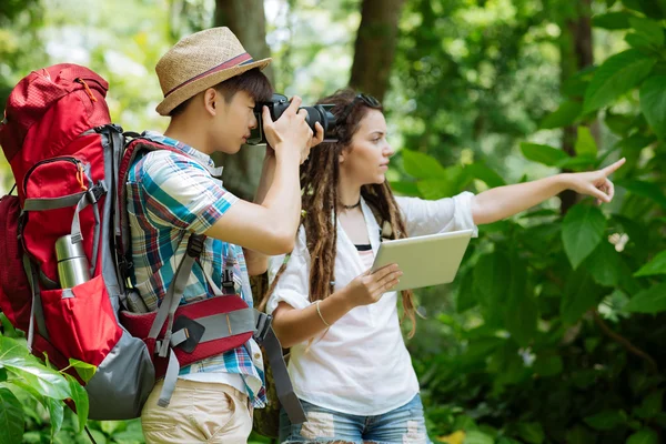 Travellers taking photos in the forest — Stock Photo, Image