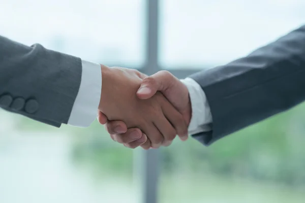 Colleagues shaking hands — Stock Photo, Image