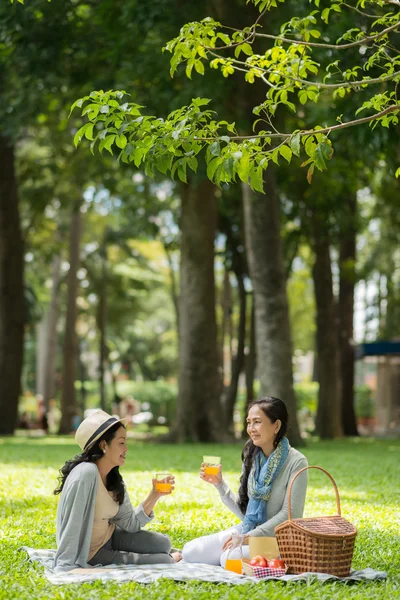 Best friends having picnic — Stock Photo, Image