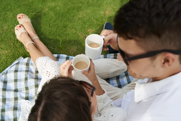 Pareja de picnic en el parque —  Fotos de Stock