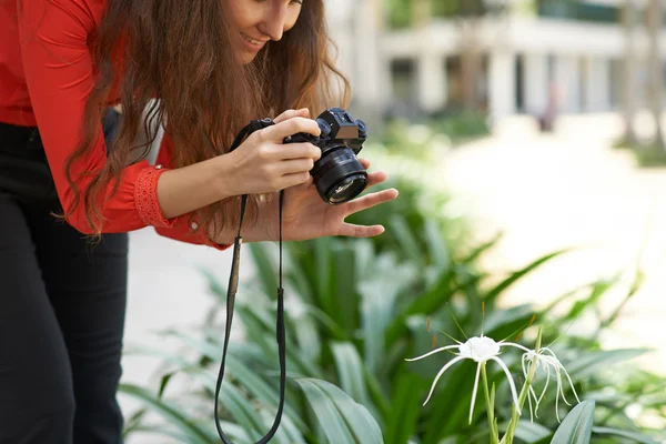 Femeia fotografiază floarea — Fotografie, imagine de stoc