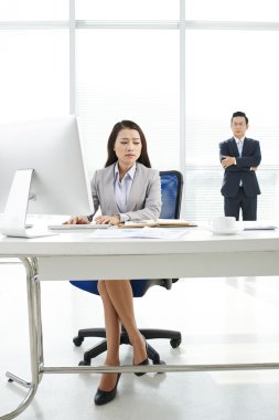 Güzel ofis çalışanı