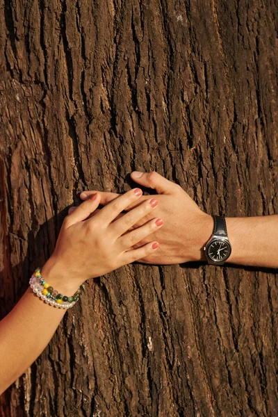 Ręce na pniu drzewa — Zdjęcie stockowe