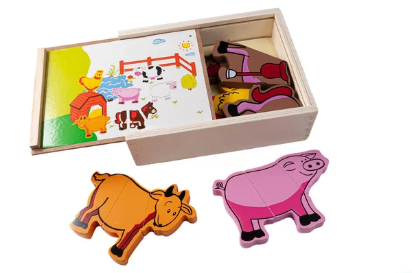 Logiczna Farma Magnetyczna Pudełko Zawiera Zestaw Zwierząt Domowych Zabawka Edukacyjna — Zdjęcie stockowe