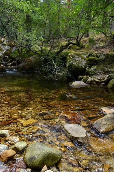 Kis Folyó Patak Hegyen — Stock Fotó