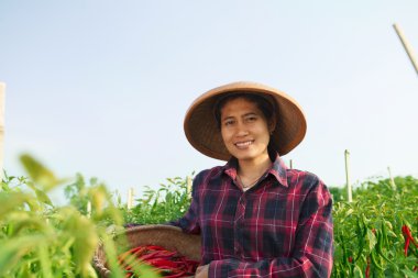 genç kadın çiftçi
