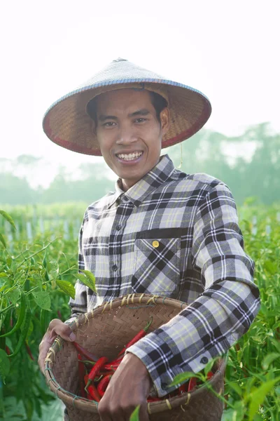 Hombre agricultor —  Fotos de Stock