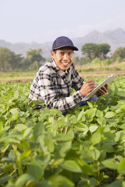 Agricultor — Fotografia de Stock