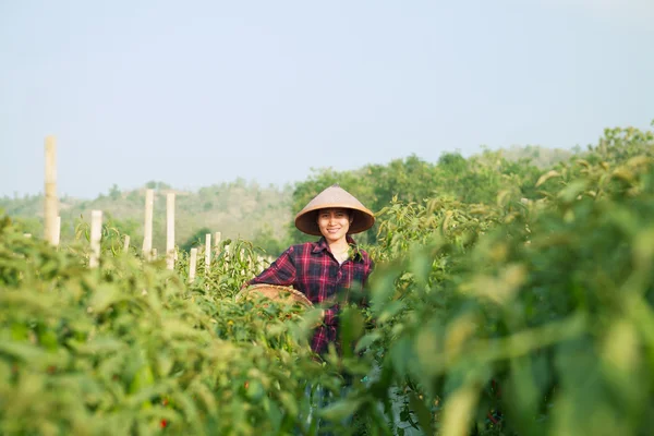 Žena zemědělce — Stock fotografie