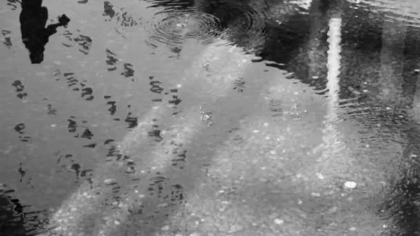 Відображення будівлі у водному фонтані — стокове відео