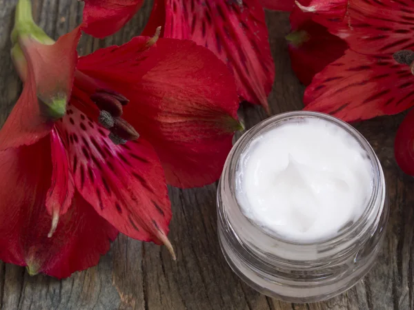 Natural facial cream — Stock Photo, Image