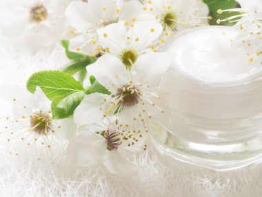 Bahar çiçeği ile natual yüz kremi