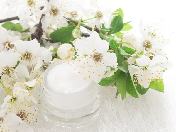 Crème naturelle pour le visage avec fleur de printemps — Photo
