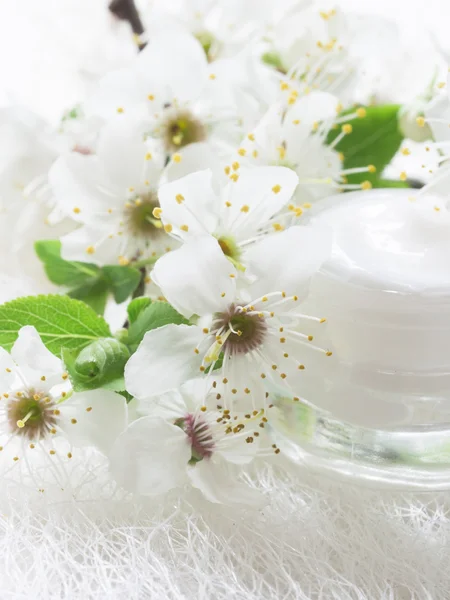 Crème naturelle pour le visage avec fleur de printemps — Photo