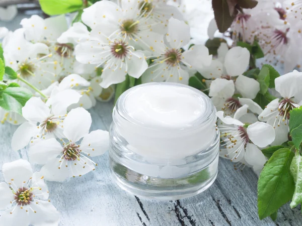 Natuurlijke Gezichtscrème met lente-bloesem — Stockfoto