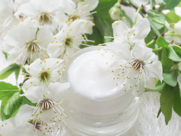 Crème naturelle pour le visage avec fleur de printemps — Photo