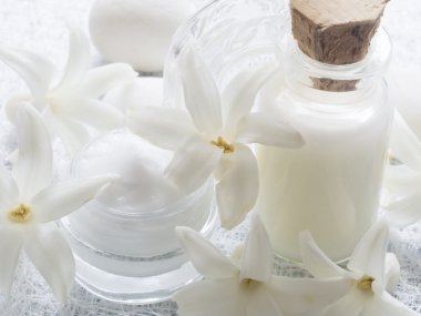 doğal cosmtics, yüz kremi