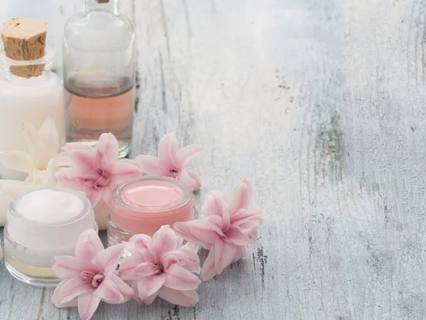 Cosméticos naturales, crema facial — Foto de Stock