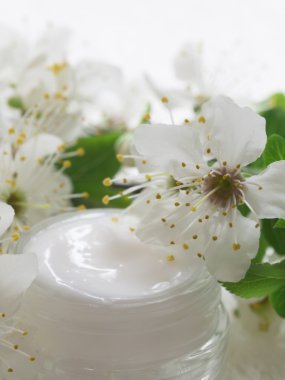 Doğal Spa Kozmetikleri