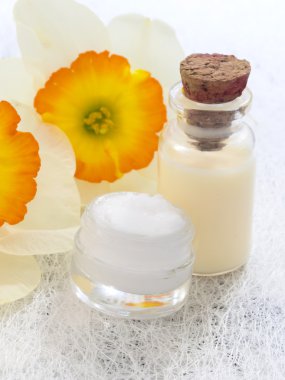 Doğal organik kozmetik