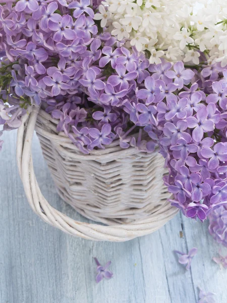 Fresh spring lilac flowers — Stock Photo, Image