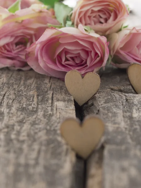 Concepto de amor con forma de corazón — Foto de Stock