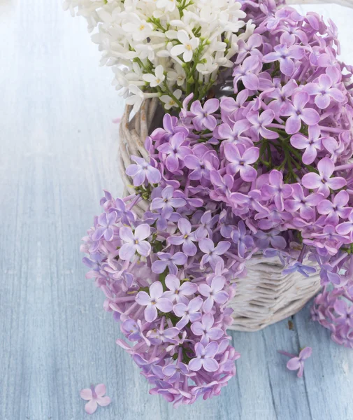 Belo fundo lilás — Fotografia de Stock