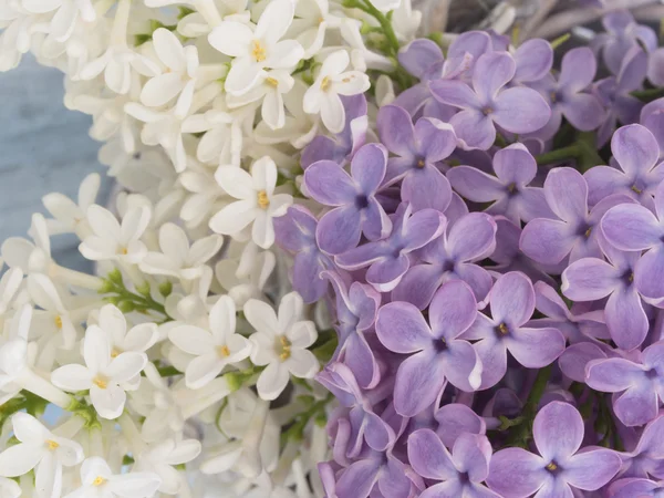 Hermoso fondo lila — Foto de Stock