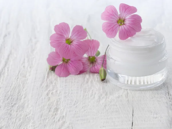 Natural facial cream — Stock Photo, Image