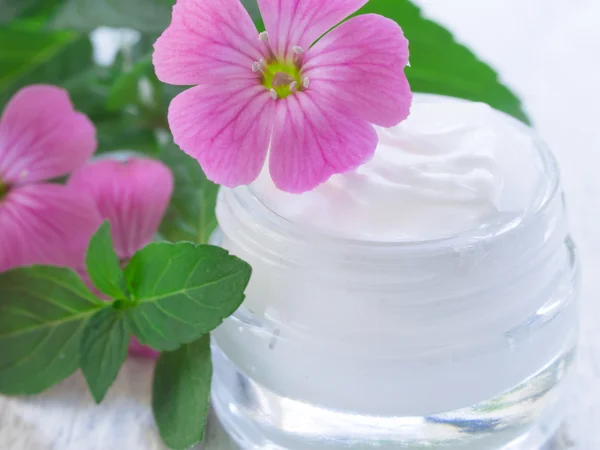 Natural facial cream — Stock Photo, Image