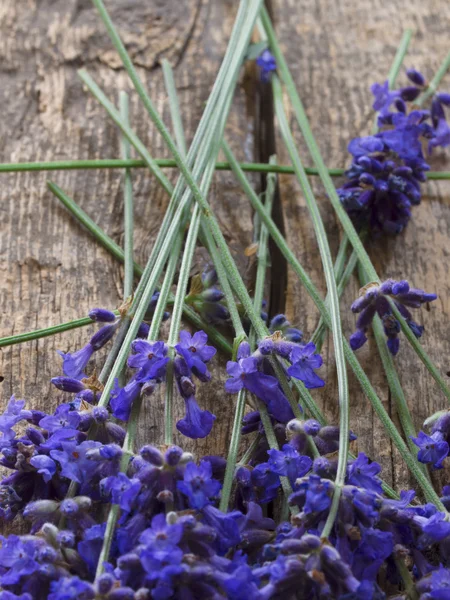 Cosmetici biologici e naturali con lavanda — Foto Stock