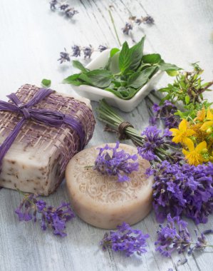 sağlıklı şifalı otlar