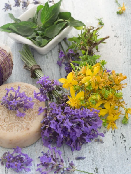 Healthy healing herbs — Stock Photo, Image