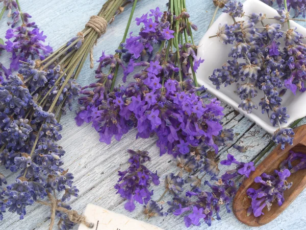 Cosméticos orgânicos de lavanda — Fotografia de Stock