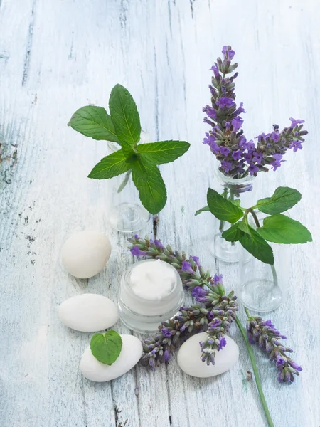 Lavender and mint herbs — Stock Photo, Image