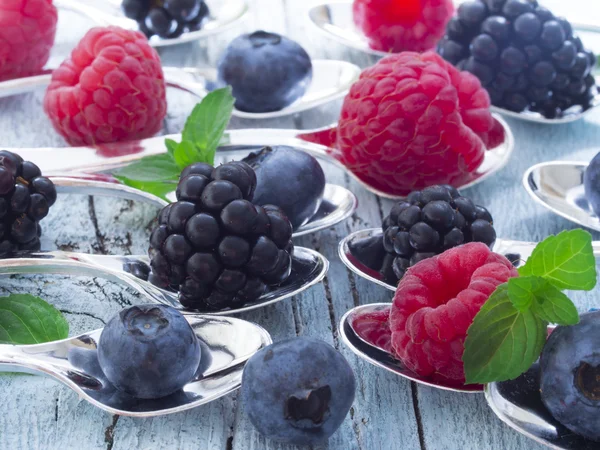 Fresh berry fruit — Stock Photo, Image