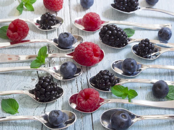 Fruta fresca de bayas — Foto de Stock