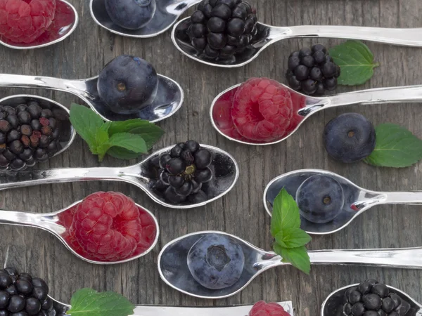 Fresh berry fruit — Stock Photo, Image