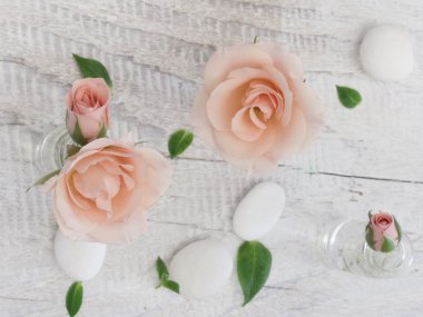 güzel güller arka plan