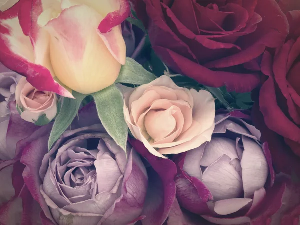 美しいバラの背景 — ストック写真