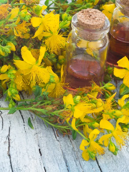 St John's wort — Stock Photo, Image