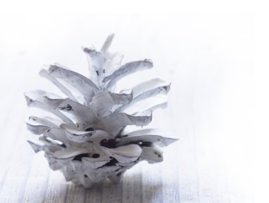 Mutlu Noeller ve mutlu yıllar.